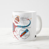 Nerve Cell Diagram Science Grote Koffiekop (Voorkant rechts)