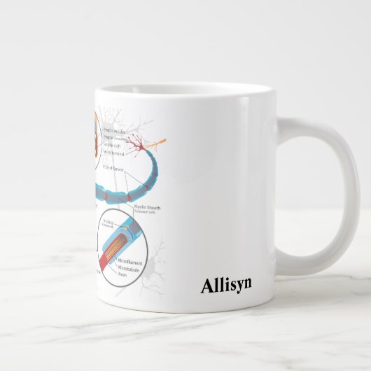 Nerve Cell Diagram Science Grote Koffiekop (Rechts)