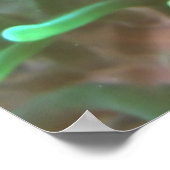 Nervee Clownvis Poster (Hoek)