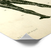 Nerves Arteries Anatomie Print (Hoek)