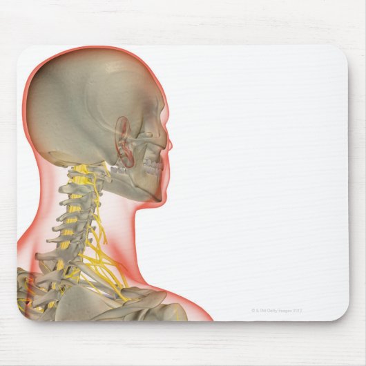 Nerves van de nek 2 muismat (Voorkant)