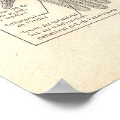 Nerves van het Poster van de wapenanatomie in het (Hoek)