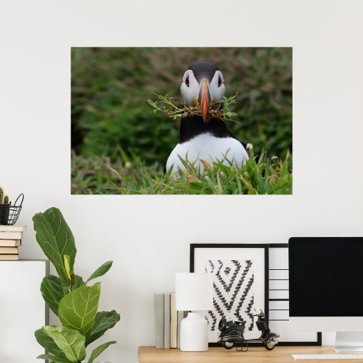 Nest Builder Puffin Poster (Thuiskantoor)