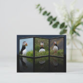 Nest Building Puffin Briefkaart (Staand voorkant)