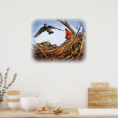 Nest Feeding Time of Tree Swallow Poster (Keuken)