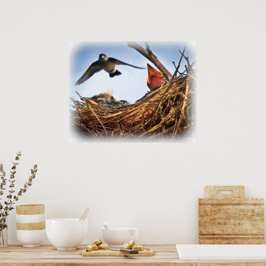 Nest Feeding Time of Tree Swallow Poster (Keuken)