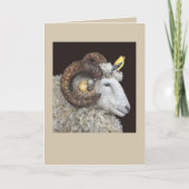 Nest Finders, Keepers-kaart Kaart (Voorkant)