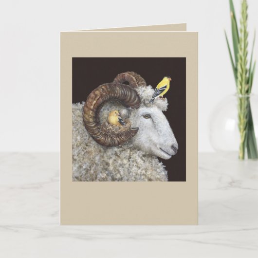 Nest Finders, Keepers-kaart Kaart (Voorkant)