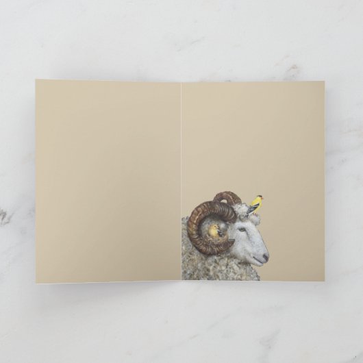 Nest Finders, Keepers-kaart Kaart (Binnen)