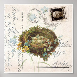 nest Flowers Italiaans Briefkaart Art Print