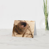 Nest II van Felted Kaart (Voorkant)