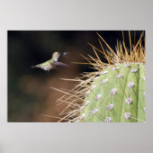 Nest Maker Poster (Voorkant)