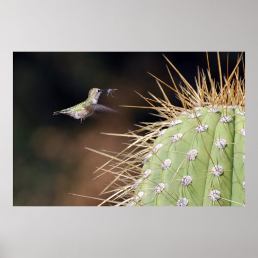 Nest Maker Poster (Voorkant)