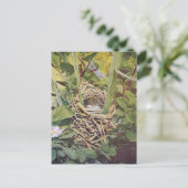 Nest of Red-Winged Blackbird Briefkaart (Staand voorkant)