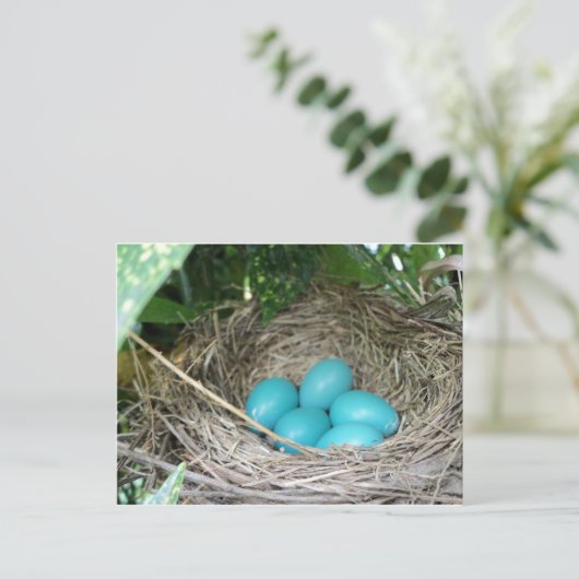 Nest of Robin Eggs Briefkaart (Staand voorkant)
