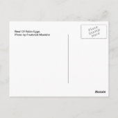 Nest of Robin Eggs Briefkaart (Achterkant)