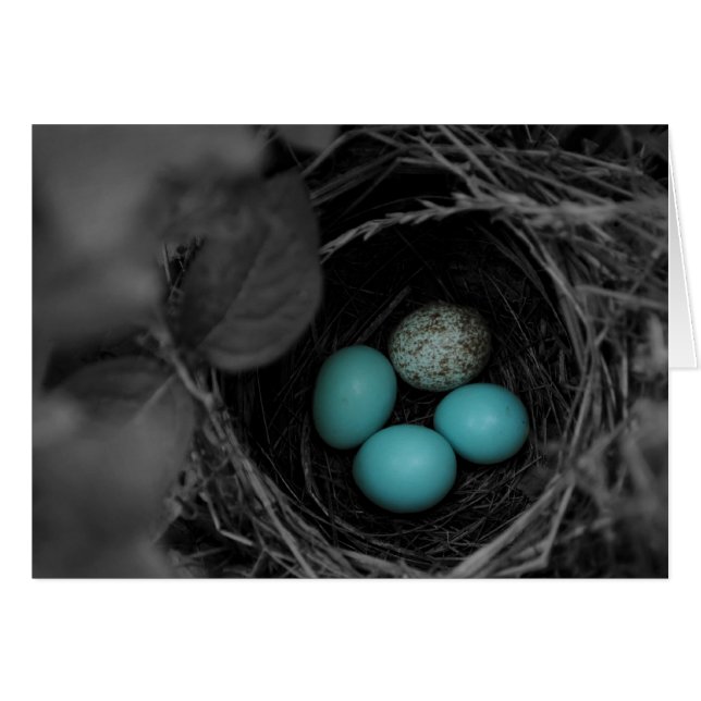 Nest parasitisme (Voorkant Horizontaal)