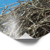 Nest Photo van Stork Foto Afdruk (Hoek)