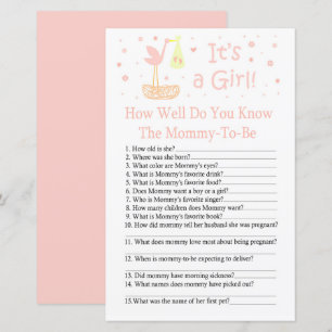 Nest Stork Hoe goed ken je baby shower game?
