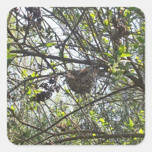 Nest van de mensvogel in de Lila Shrub Vierkante Sticker