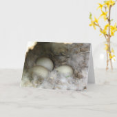 Nest van eendeneieren kaart (Gele Bloem)