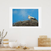 Nest van Stork Poster (Keuken)