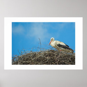 Nest van Stork Poster