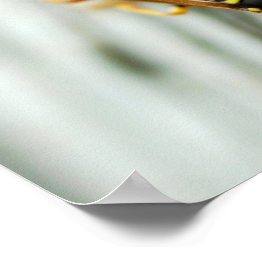 Nest van wespen poster (Hoek)