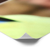 Nest - winnende filly poster (Hoek)