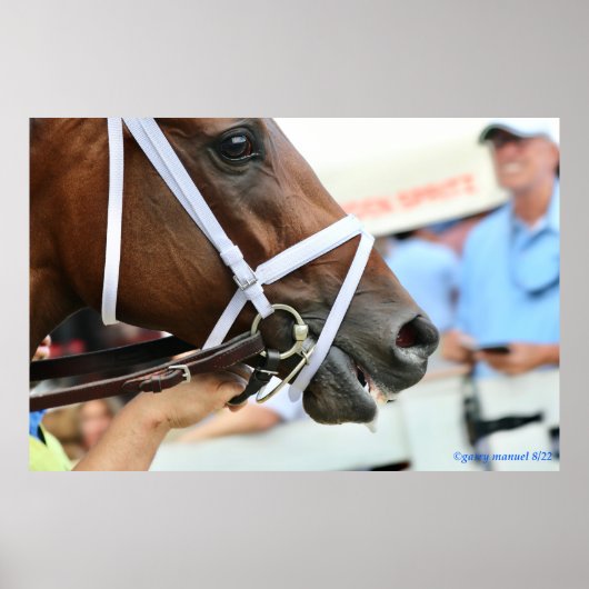 Nest - winnende filly poster (Voorkant)