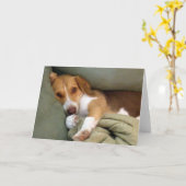 Nestel me de Kaart van de Nota van het Jong (Gele Bloem)