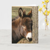 nestel me kaart (Gele Bloem)