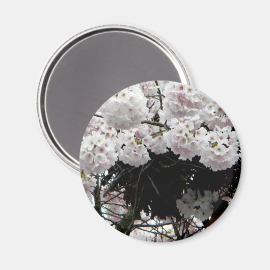 nesten magneet (Voorkant / Achterkant)