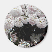 nesten magneet (Voorkant)