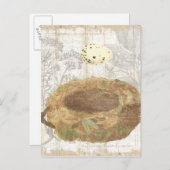 Nesten met gevlekte eieren briefkaart (Voorkant / Achterkant)