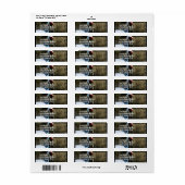 Nesten Witte Naped kraan Etiket (Full Sheet)