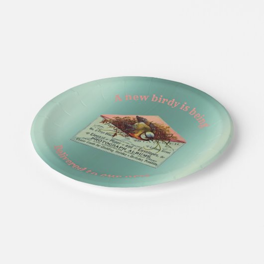  nestende baby shower papieren bordje (Gekanteld)