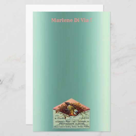  nestende vogelbenodigdheden briefpapier (Voorkant / Achterkant)