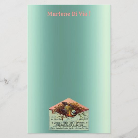  nestende vogelbenodigdheden briefpapier (Voorkant)