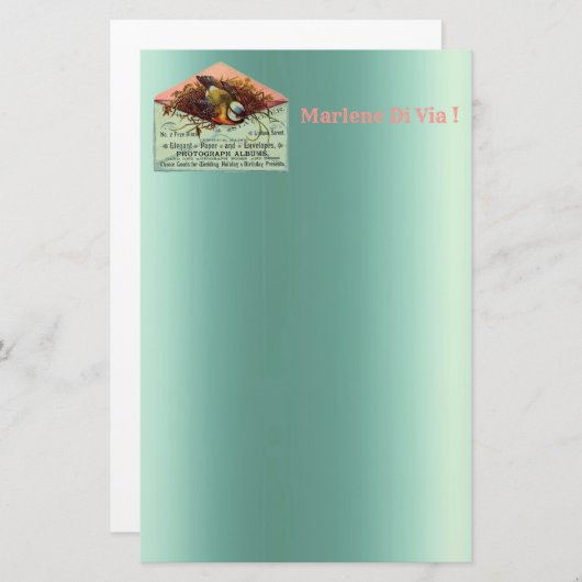  nestende vogelbenodigdheden briefpapier (Voorkant / Achterkant)