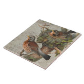 nestende vogelpenkollage Botanisch Kunstschrift Tegeltje (Zijkant)
