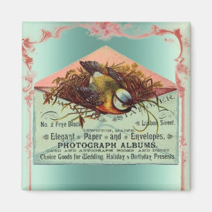  nestende vogelroze blauwgroen schattige elegant magneet