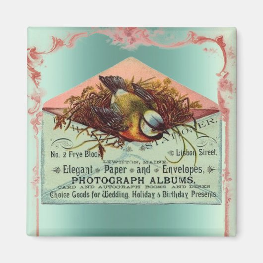  nestende vogelroze blauwgroen schattige elegant magneet (Voorkant)