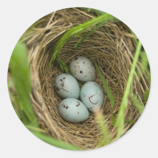 Nestful van eieren ronde sticker