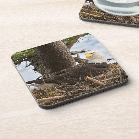Nesting Bald Eagle Bier Onderzetter (Linkerzijde)