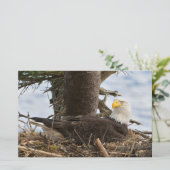 Nesting Bald Eagle Briefpapier (Staand voorkant)