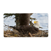 Nesting Bald Eagle Etiket (Voorkant)