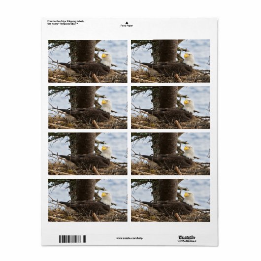 Nesting Bald Eagle Etiket (Full Sheet)