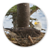 Nesting Bald Eagle Keramische Knop (Voorkant)
