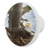 Nesting Bald Eagle Keramische Knop (Rechts)